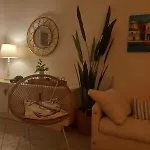 Marani's